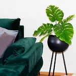 Anita Frane Apartment