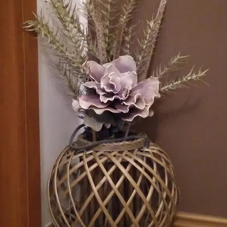 Anita Frane Apartment Vodice