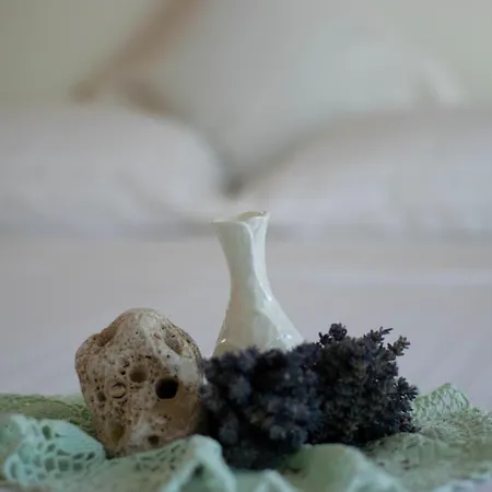 Apartment Anita Frane Vodice