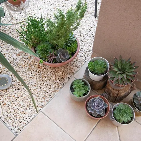 Anita Frane Apartment