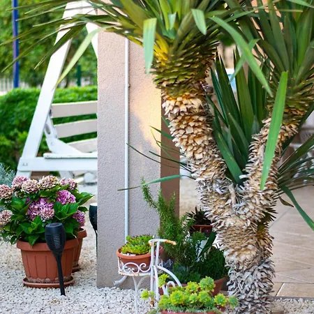 Lejlighed Anita Frane