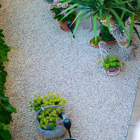 Anita Frane Vodice