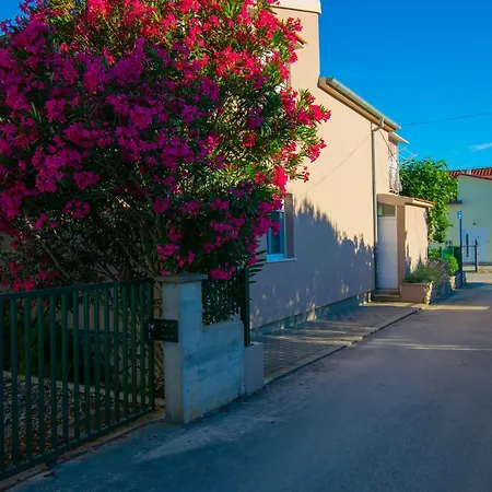 Anita Frane * Vodice