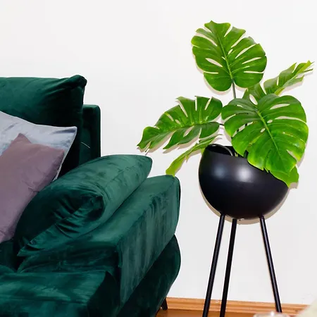 Anita Frane Appartamento