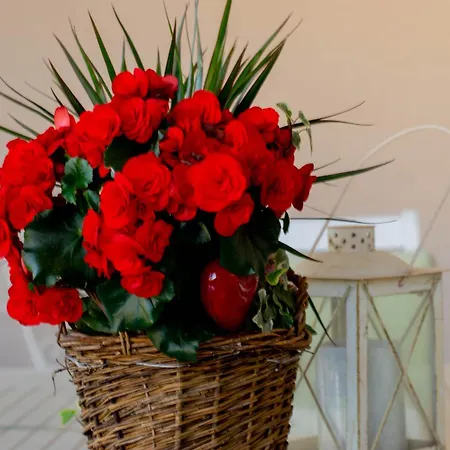 Apartment Anita Frane