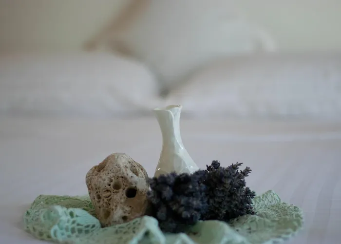 Apartament Anita Frane Vodice