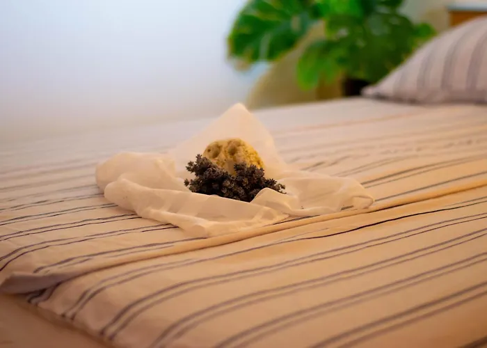 Anita Frane Apartament *