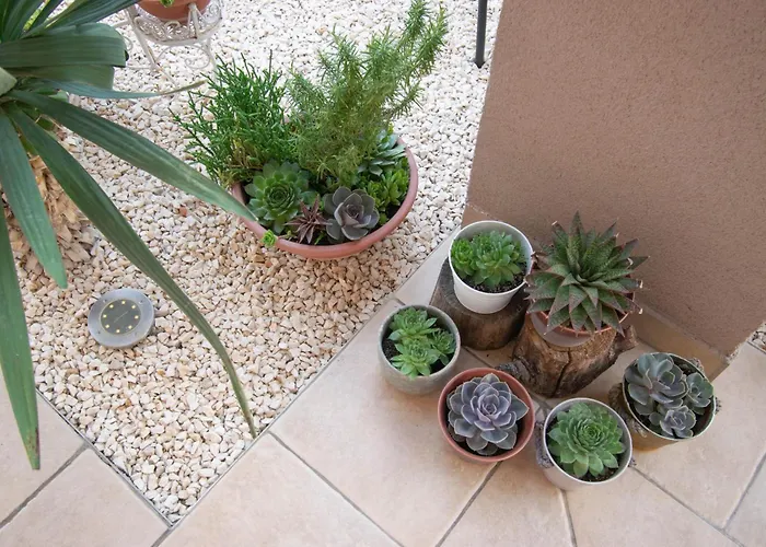 Anita Frane Apartament