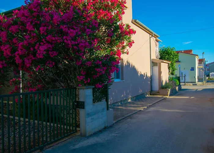 Anita Frane * Vodice