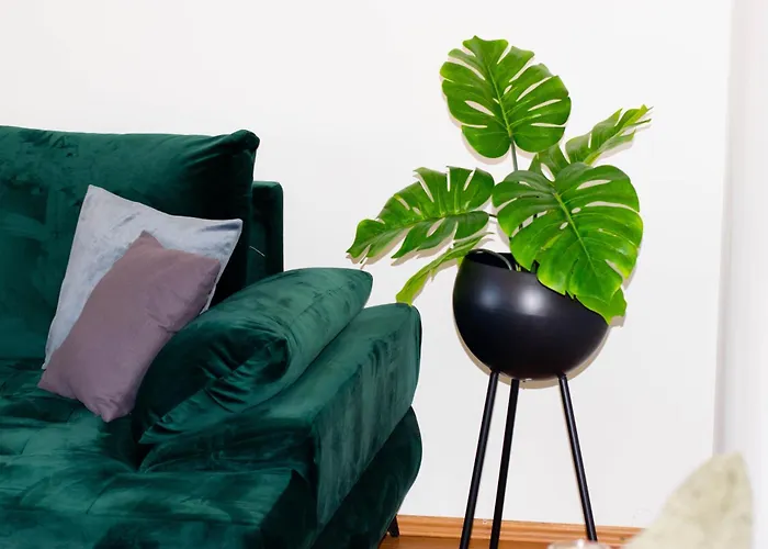 Anita Frane Apartman