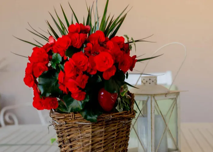 Apartament Anita Frane